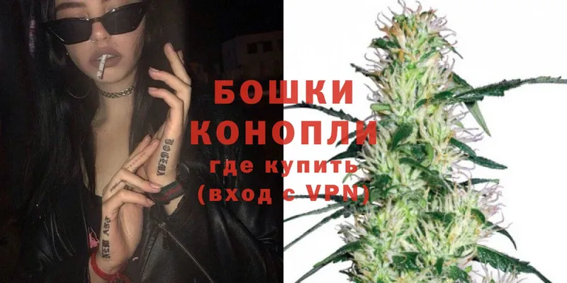 shop какой сайт  Североморск  Канабис OG Kush 